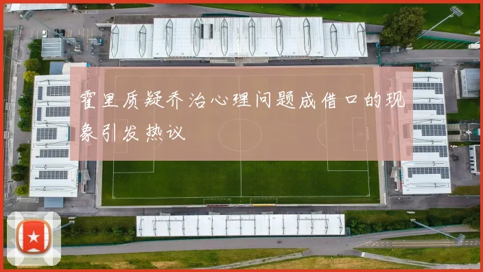 霍里质疑乔治心理问题成借口的现象引发热议