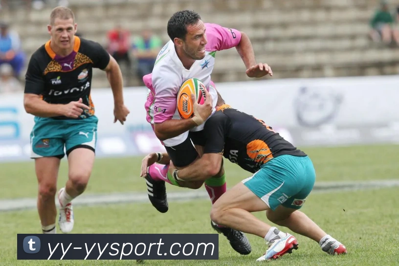 易游体育平台生态图