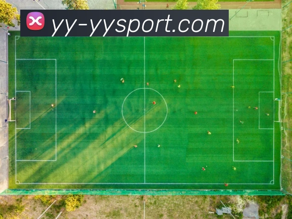 易游体育APP 封面图